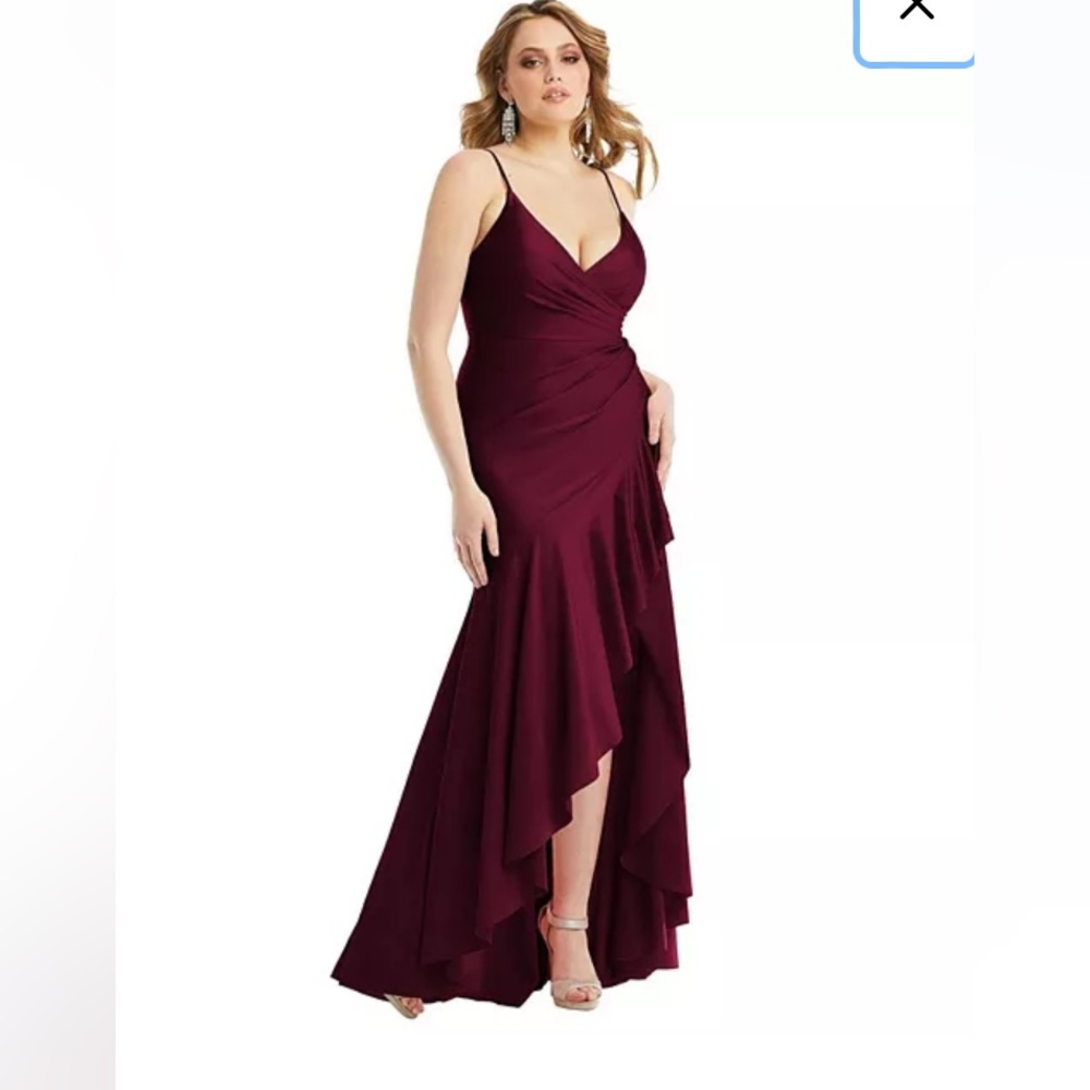 NWOT Cynthia & Sahar Elegant Evening Gown